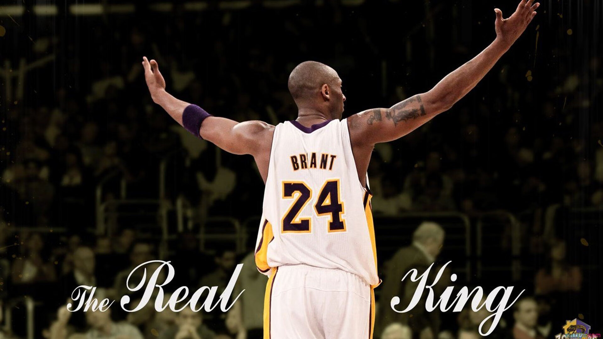 【运动员成长】从青训营走向世界冠军的蜕变，青训选手有工资吗